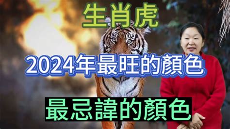 屬虎錢包顏色|【每月心測1】2024年12生肖財運皮夾色大公開！加碼。